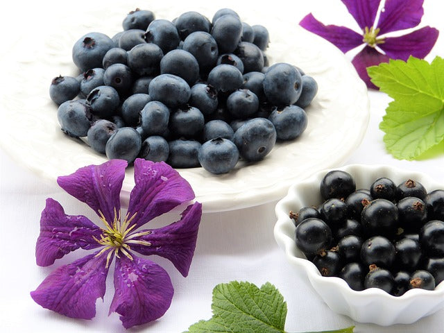 18. The B list: Herbs and spices that Heal- BLACK CURRANT
